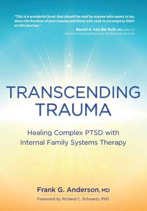 Transcending Trauma de Frank Anderson