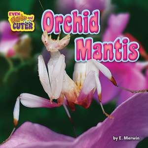 Orchid Mantis de E. Merwin