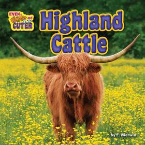 Highland Cattle de E. Merwin