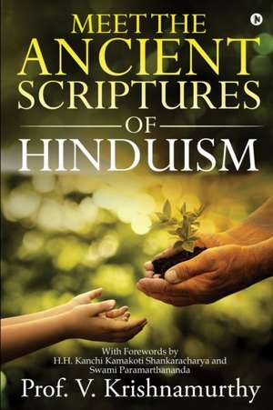 Meet the Ancient Scriptures of Hinduism de V. Krishnamurthy