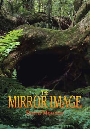 The Mirror Image de David Mooney