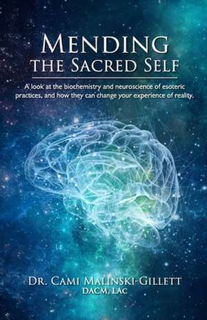 Mending the Sacred Self de Cami Gillett