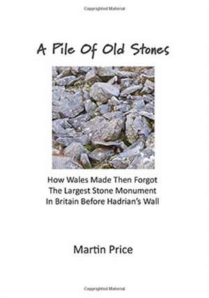 A Pile Of Old Stones de Martin Price