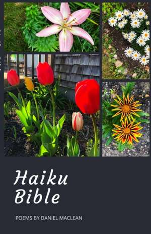 Haiku Bible de Daniel MacLean
