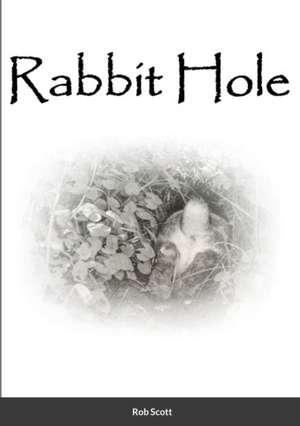 Rabbit Hole de Rob Scott