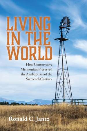 Living in the World de Ronald C. Jantz