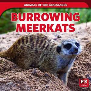 Burrowing Meerkats de Theresa Emminizer