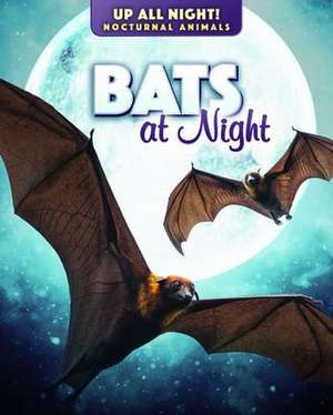 Bats at Night de Kathleen A. Klatte