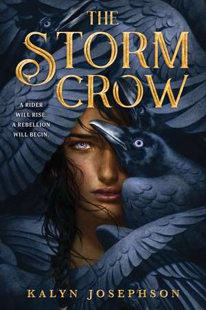 The Storm Crow de Kalyn Josephson