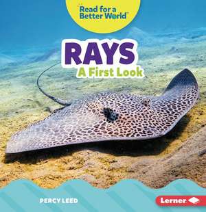 Rays de Percy Leed