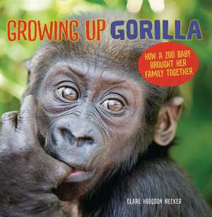 Growing Up Gorilla de Clare Hodgson Meeker