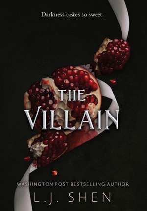 The Villain de L J Shen