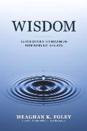 Wisdom: 25 Solutions to Maximize Fundraising Results de Meaghan K. Foley