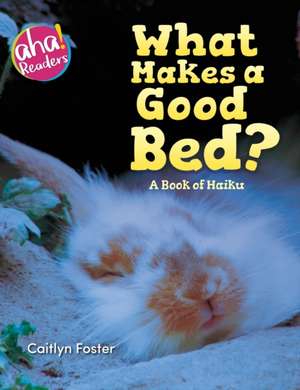 What Makes a Good Bed? de Caitlyn Foster