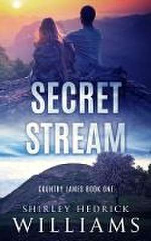 Secret Stream: A Tense, Page-Turning Christian Mystery and Sweet Romance de Shirley Hedrick Williams