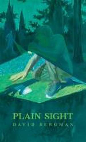 Plain Sight de David Bergman