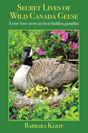 Secret Lives of Wild Canada Geese de Barbara Klide