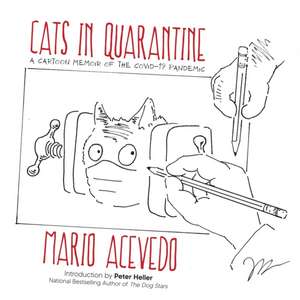 Cats in Quarantine de Mario Acevedo