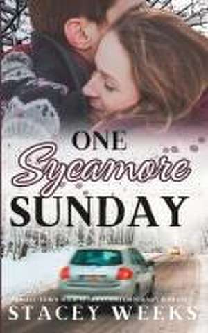 One Sycamore Sunday: (A small town, high stakes, contemporary romance, book 4) de Stacey Weeks