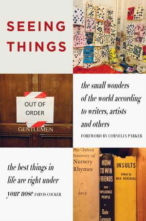 SEEING THINGS de Julian Rothenstein