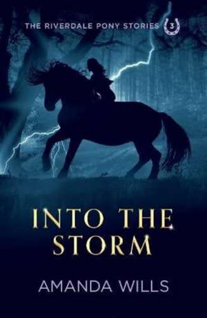 Into the Storm de Amanda Wills