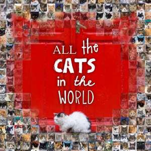 All the Cats in the World de Jesse Hunter