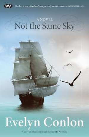 Not the Same Sky de Evelyn Conlon