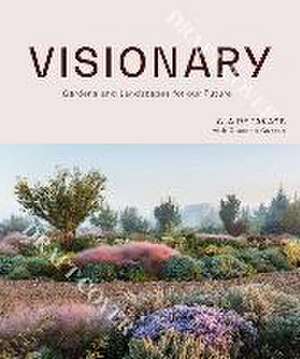 Visionary de Claire Takacs