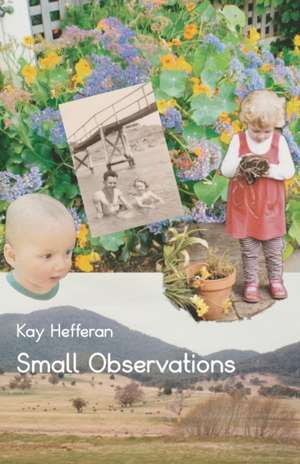 Small Observations de Kay Hefferan