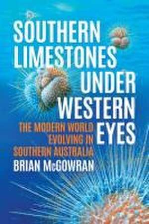 Southern Limestones under Western Eyes de Brian McGowran