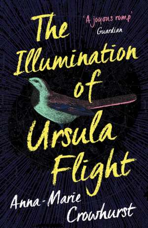 Crowhurst, A: Illumination of Ursula Flight