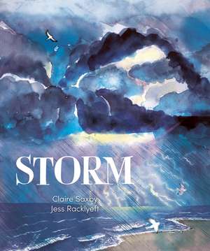 Storm de Claire Saxby