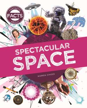 Singer, W: Spectacular Space