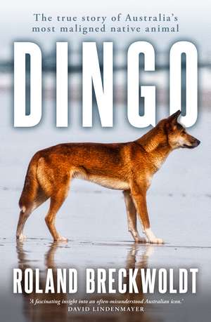 Dingo de Roland Breckwoldt