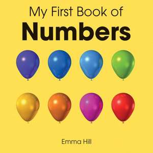 My First Book of Numbers de M Wetherell