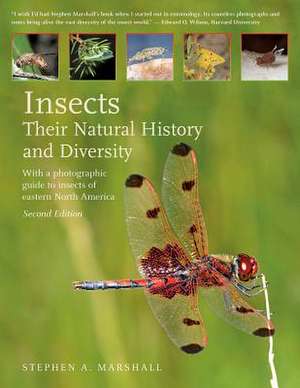 Insects: Their Natural History and Diversity de Stephen A Marshall