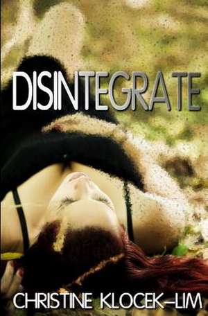 Disintegrate de Christine Klocek-Lim