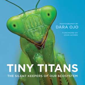 Tiny Titans de Dara Ojo