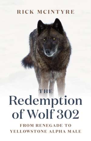 Redemption of Wolf 302 de Rick McIntyre