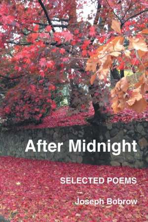 After Midnight de Joseph Bobrow