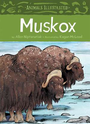 Muskox de William Flaherty