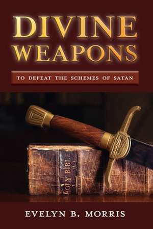 Divine Weapons de Evelyn B. Morris