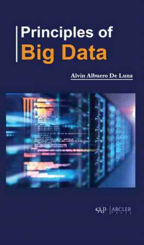 Principles of Big Data de Alvin Albuero De Luna