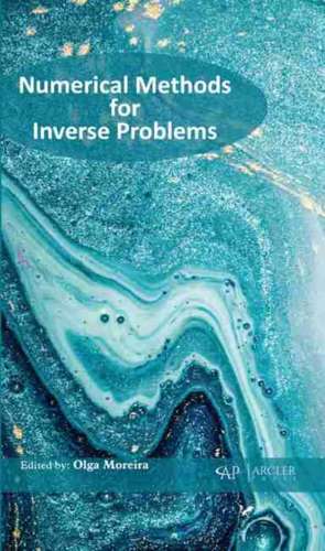 Numerical Methods for Inverse Problems de Olga Moreira