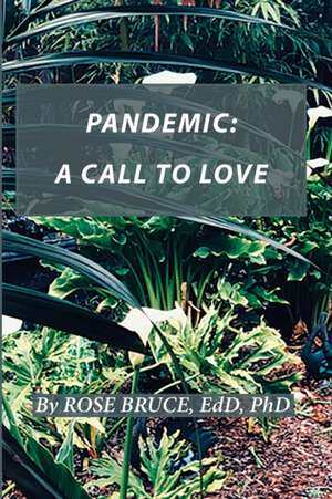 Pandemic de Edd Bruce