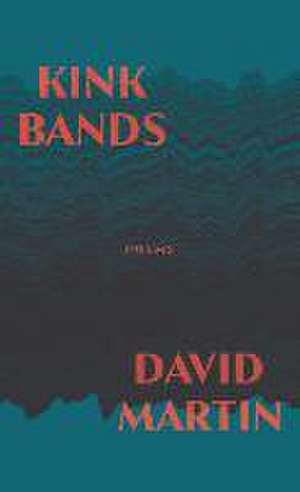 Kink Bands de David Martin