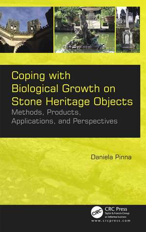 Coping with Biological Growth on Stone Heritage Objects: Methods, Products, Applications, and Perspectives de Daniela Pinna