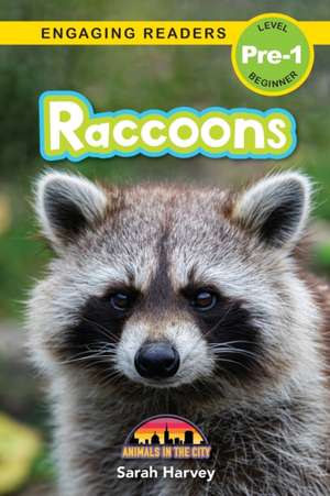 Raccoons de Sarah Harvey