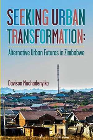 Seeking Urban Transformation de Davison Muchadenyika