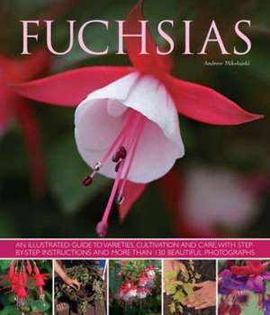 Fuchsias de Andrew Mikolajski